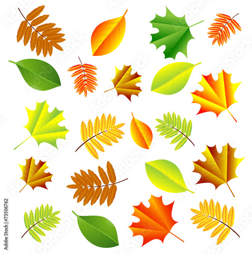 background for a design with autumn leaves