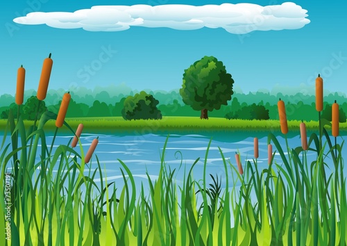 Summer landscape with pond