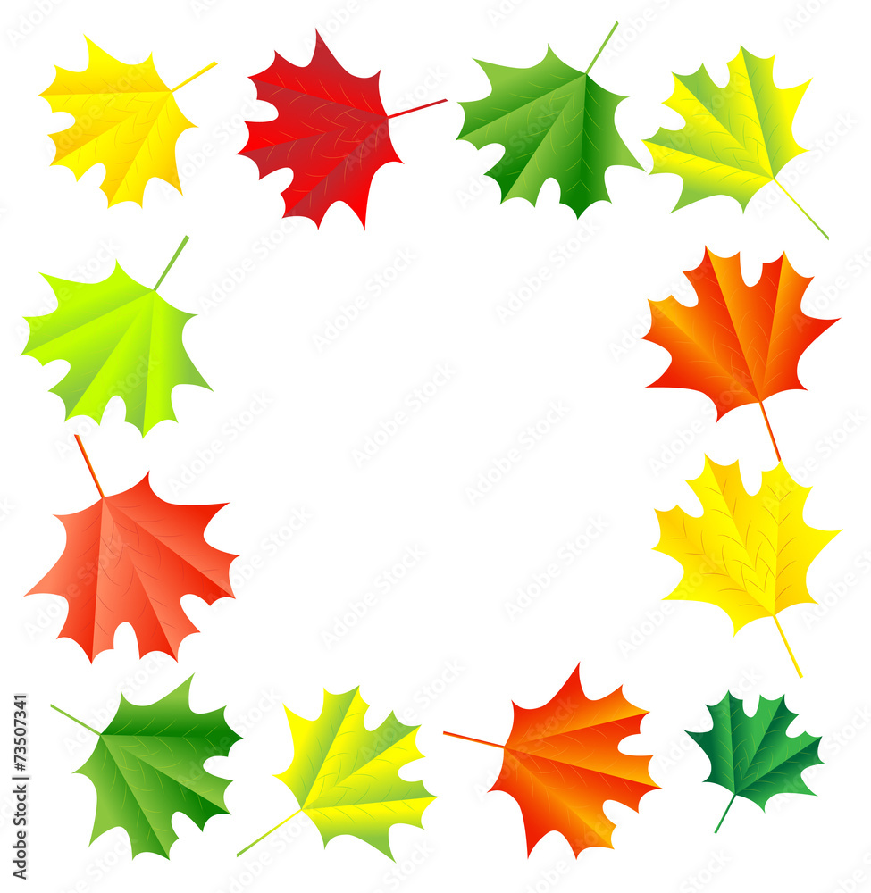 background for a design with the autumn leaves of maple background for a design with the autumn leaves of maple