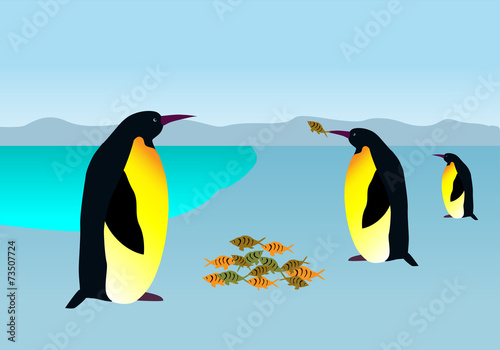penguins