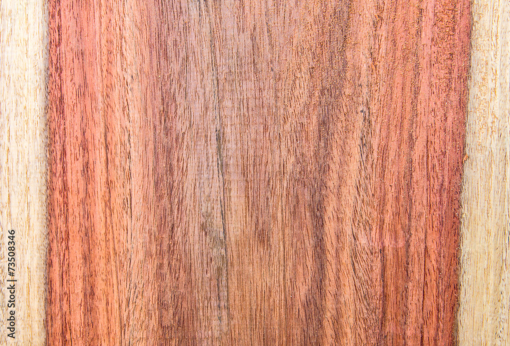 Naklejka premium Siamese Rosewood