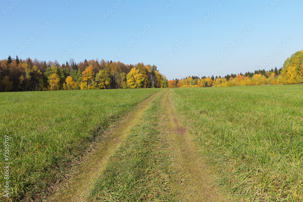 Road to a field