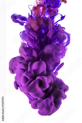 violet ink color drop on white background