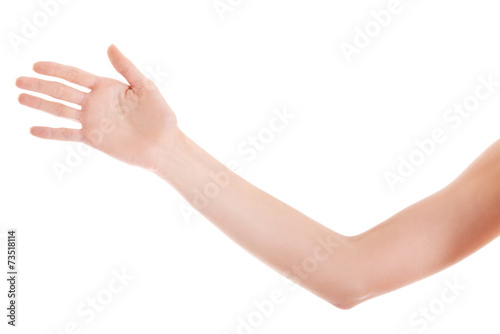 Vászonkép Close up on female beautiful arm