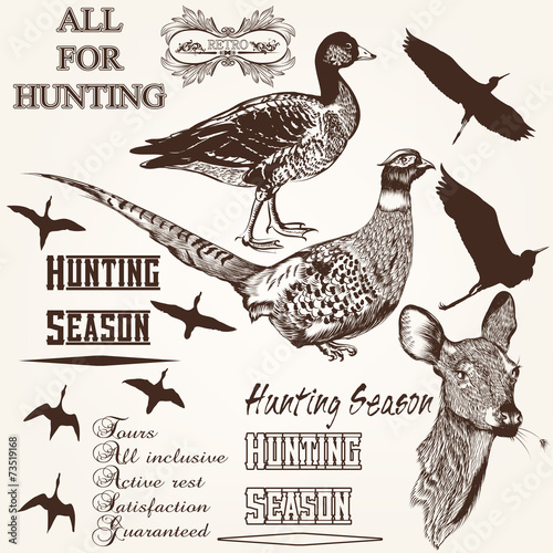 Set of vector hand drawn animals hunting season design