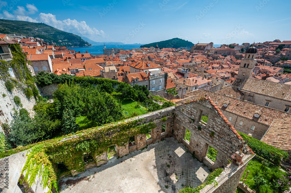 Town of Dubrovnik with old foliage covered house