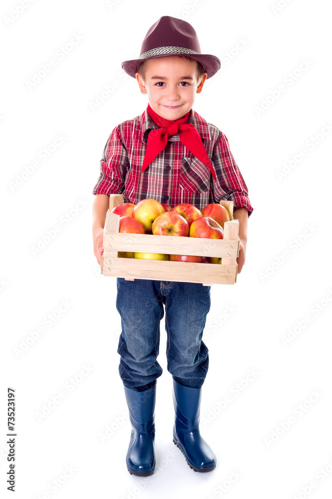 Little agriculturist boy holding apples in crate Little agriculturist boy holding apples in crate