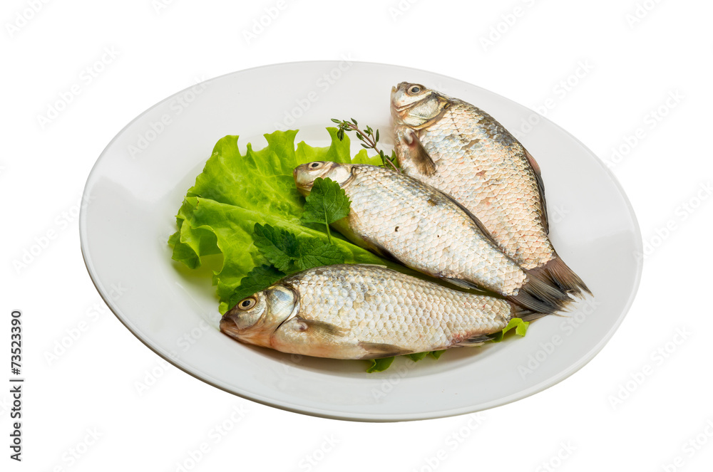 Crucian fish Crucian fish