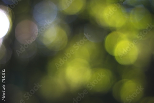 Abstract glowing light on a green background photo