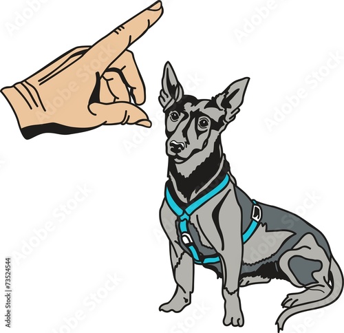 Dog13EG1