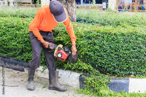 A man trimming hedge at the street