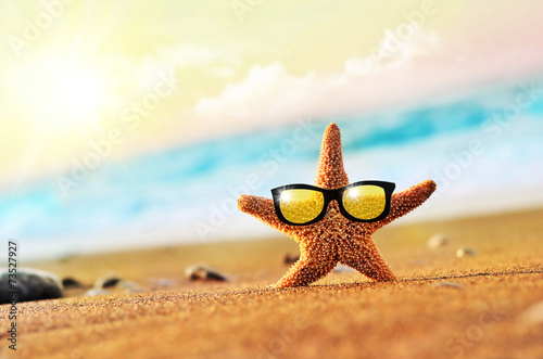 Starfish in sunglasses © Belight