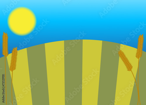 Wheat Field