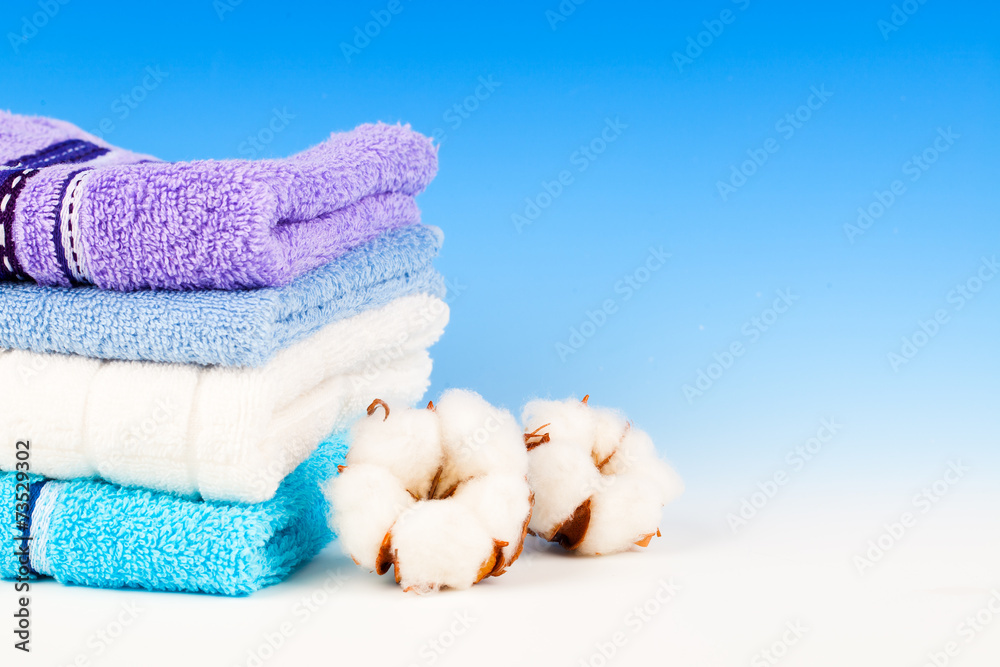 Cotton soft plant with textile, on blue background Cotton soft plant with textile, on blue background