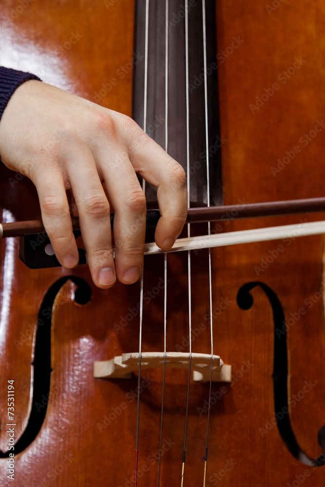 Detail of the cello in the hands of a musician Detail of the cello in the hands of a musician