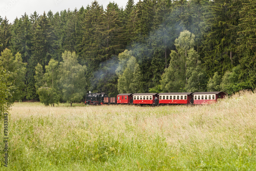 Harzer Schmalspurbahn Selketalbahn