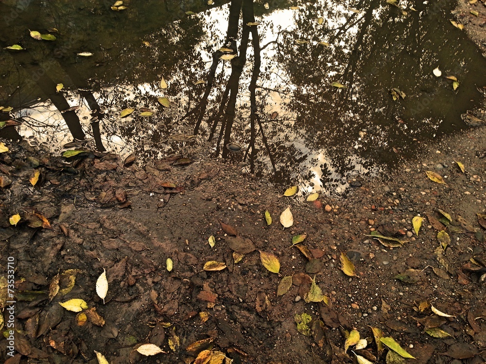 Atmosfera autunnale Atmosfera autunnale