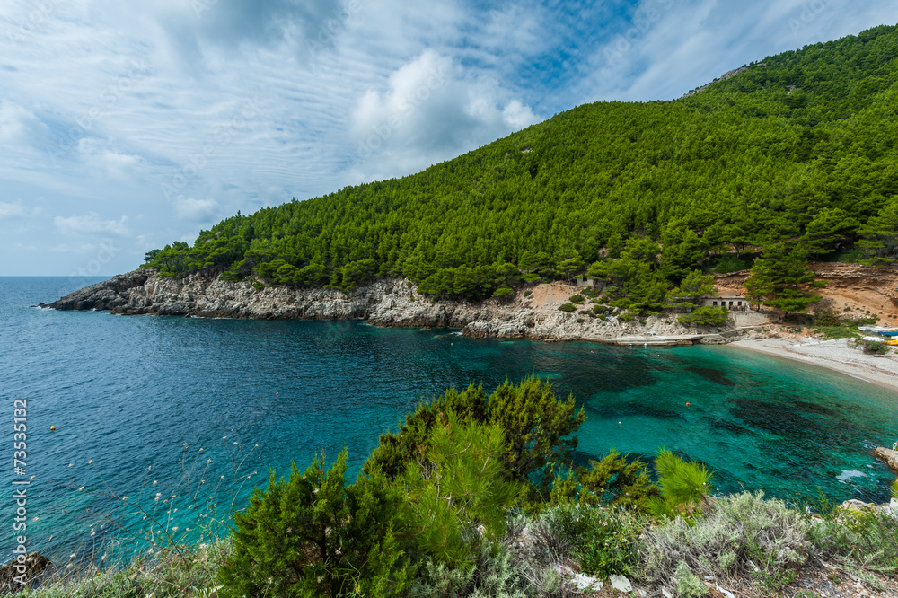 Turquoise bay with sandy beach and pines