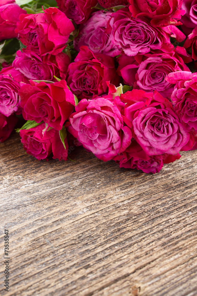 pile  of mauve roses