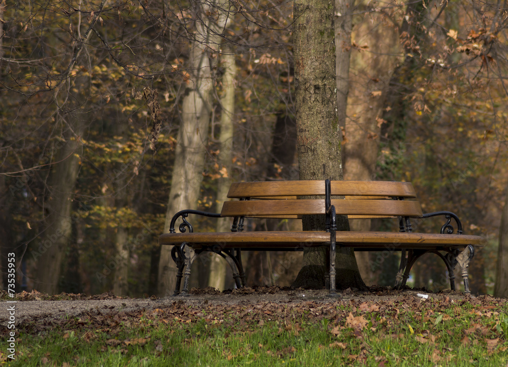 Autumn in Maksimir park, bench around the tree Autumn in Maksimir park, bench around the tree