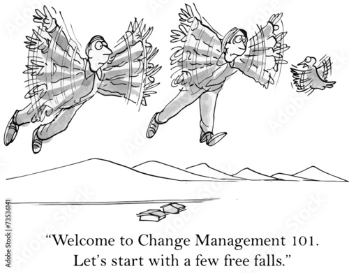 "Welcome to Change Management 101.... free falls."