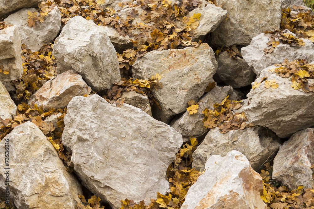 Pile of large stones covered with leaves