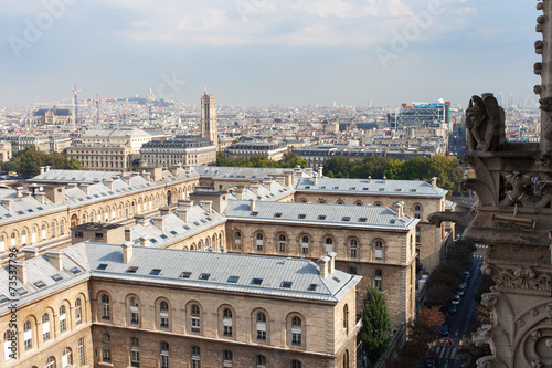 Roofs of Paris, France.