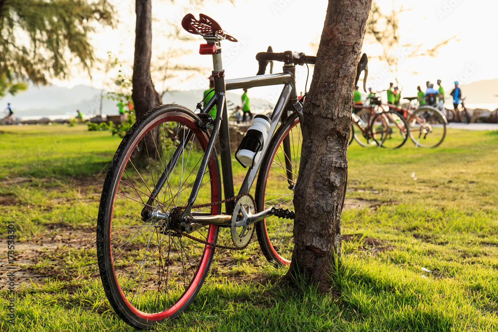 Fototapeta premium Bicycle in the park