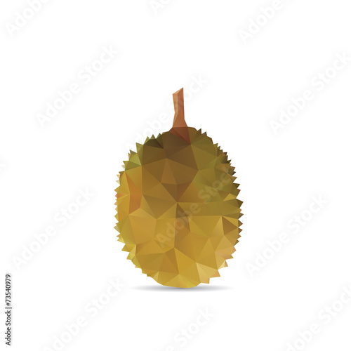 Durian abstract isolated on a white backgrounds