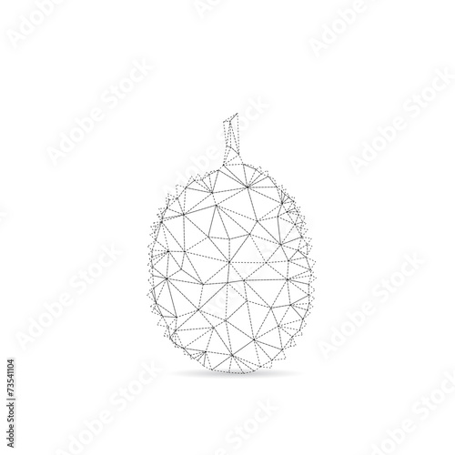 Durian abstract isolated on a white backgrounds
