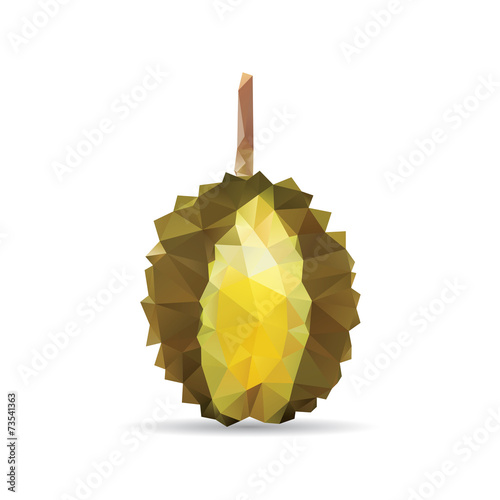 Durian abstract isolated on a white backgrounds