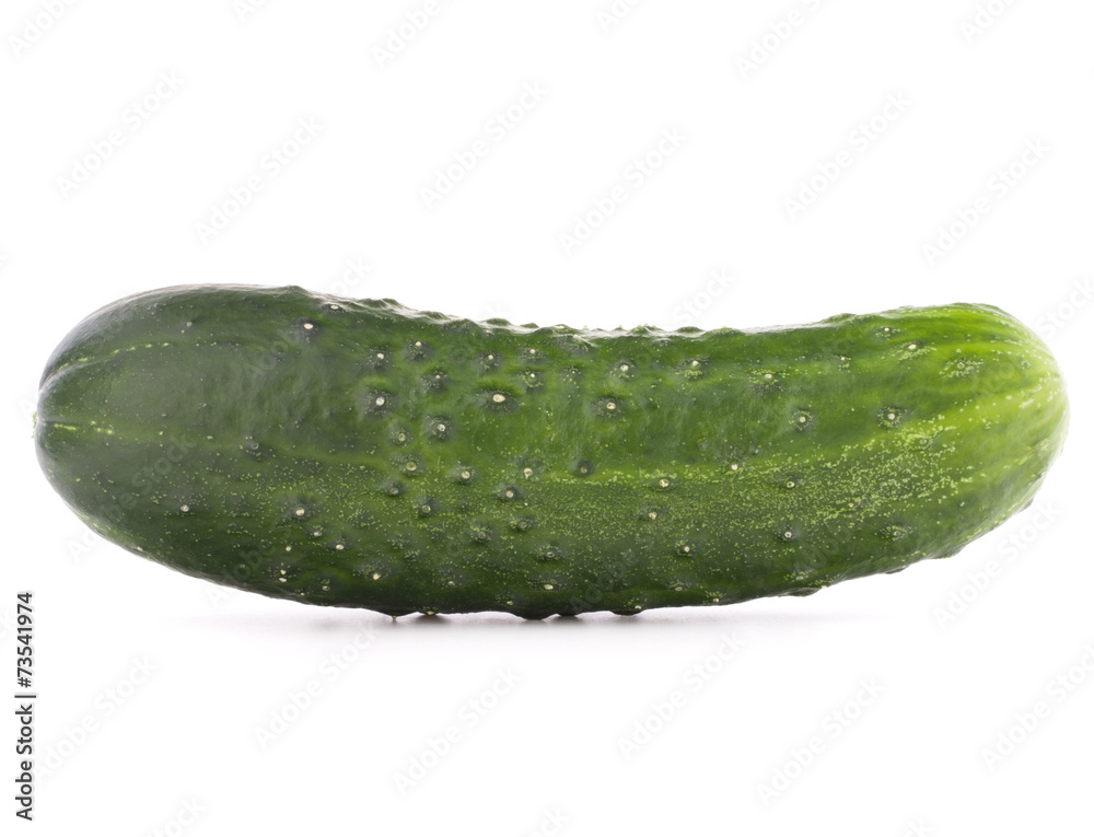 Cucumber vegetable  isolated on white background cutout