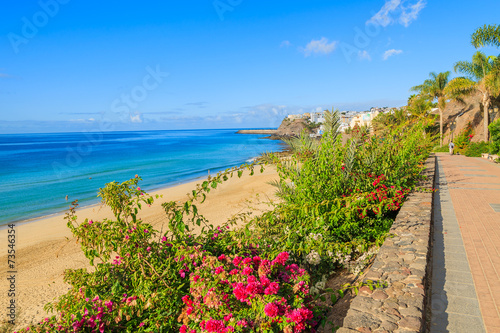 Tropical flowers on Morro Jable beach promenade, Fuerteventura photo