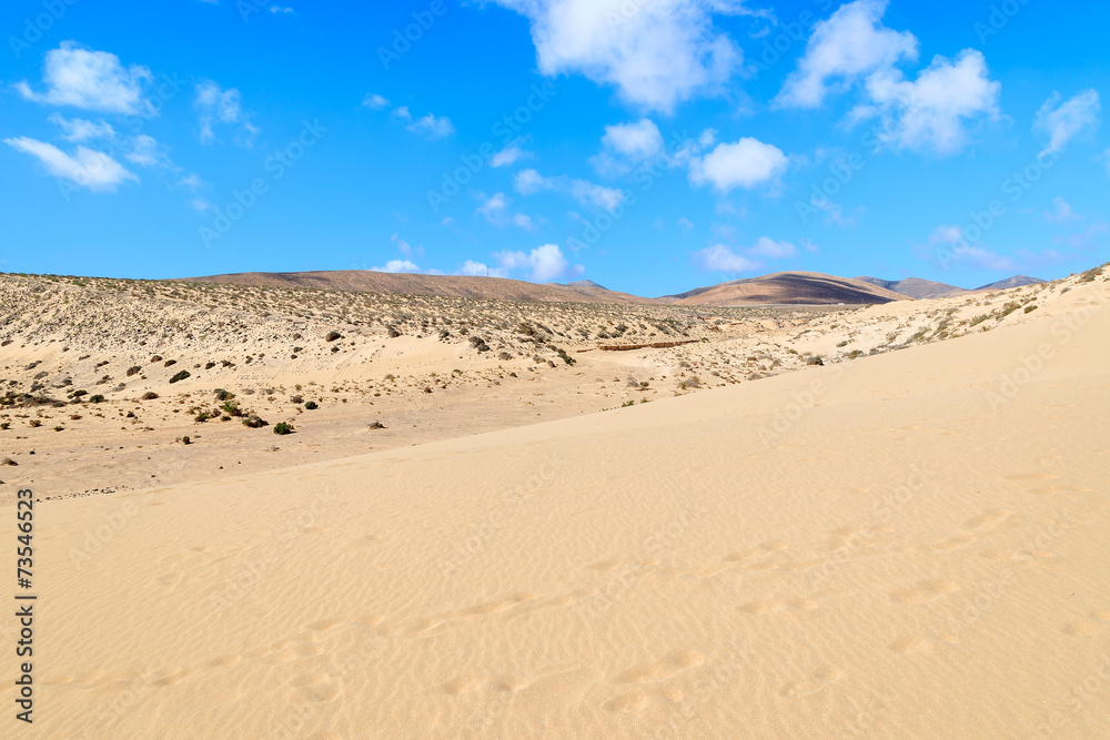 Sand dune on Sotavento beach, Fuerteventura, Canary Islands Sand dune on Sotavento beach, Fuerteventura, Canary Islands