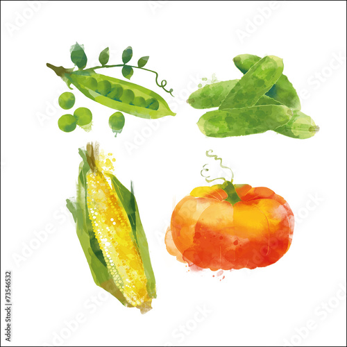 Set of peas cucumber corn pumpkin