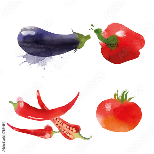 Set of eggplant paprika chilli pepper tomato