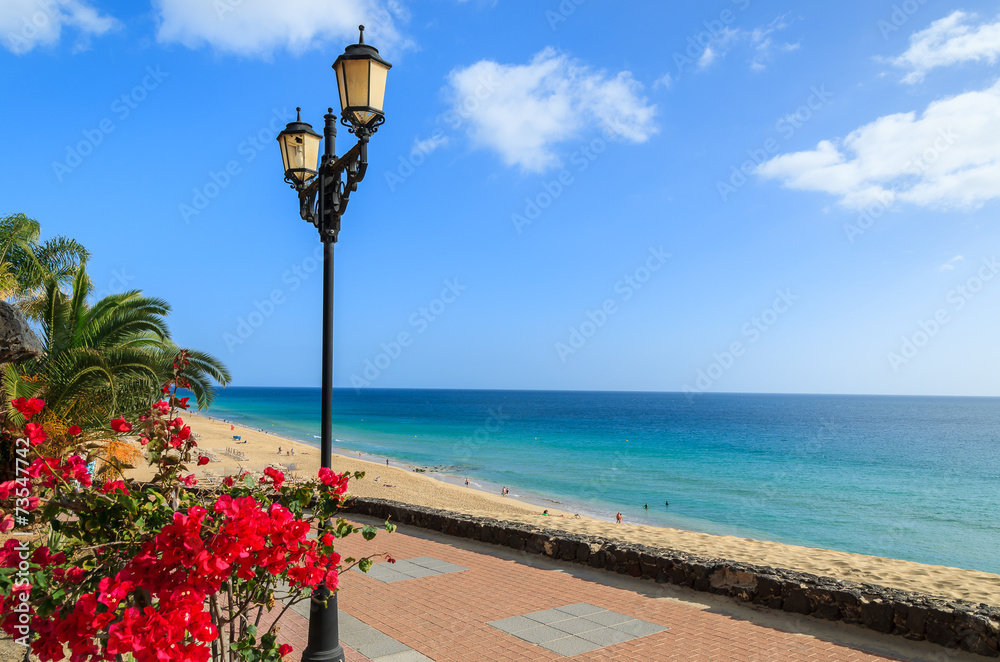 Tropical flowers on promenade along Jandia beach, Fuerteventura