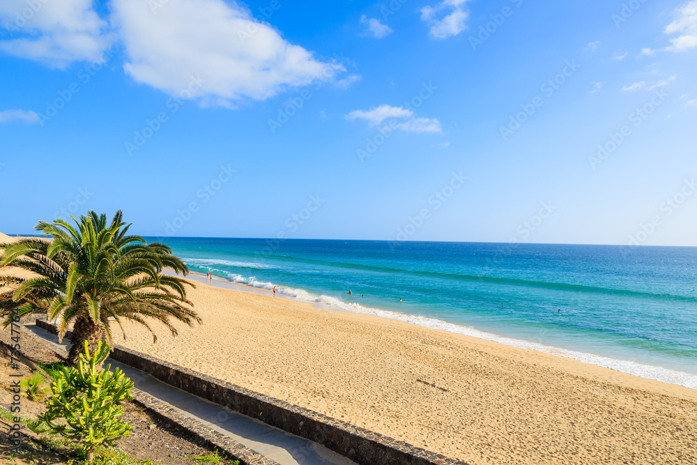 Palm trees on Morro Jable tropical beach, Fuerteventura island