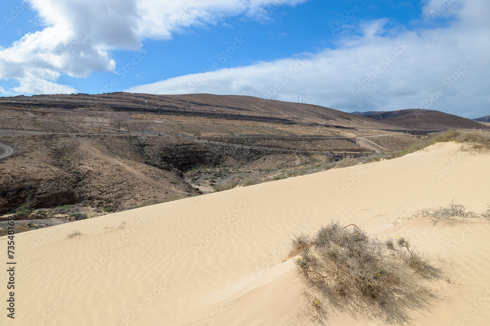 Desert landscape on Sotavento beach, Fuerteventura island
