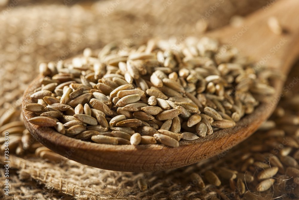 Obraz premium Organic Dry Raw Rye Grain