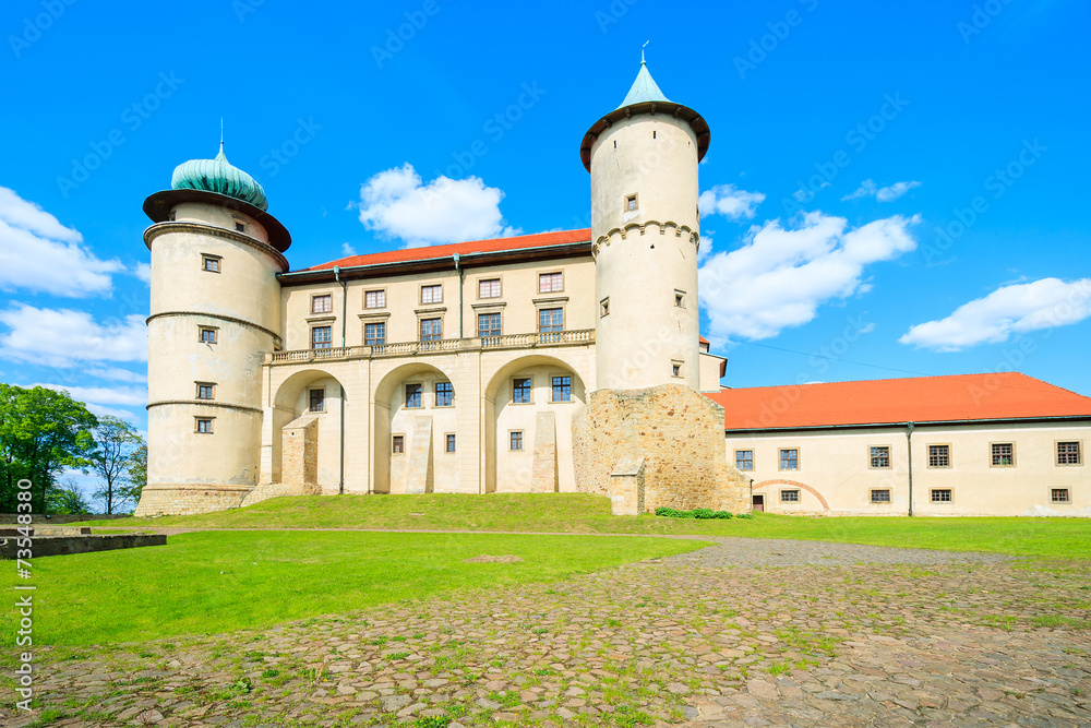 Nowy Wisnicz castle on sunny beautiful day, Poland