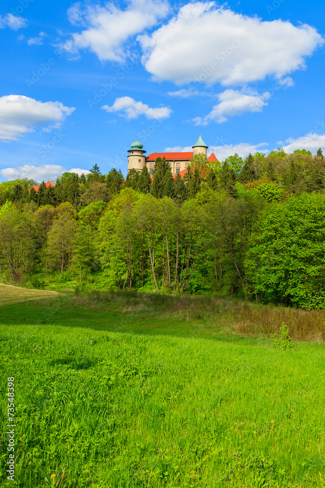 Nowy Wisnicz castle on green hill on sunny beautiful day, Poland