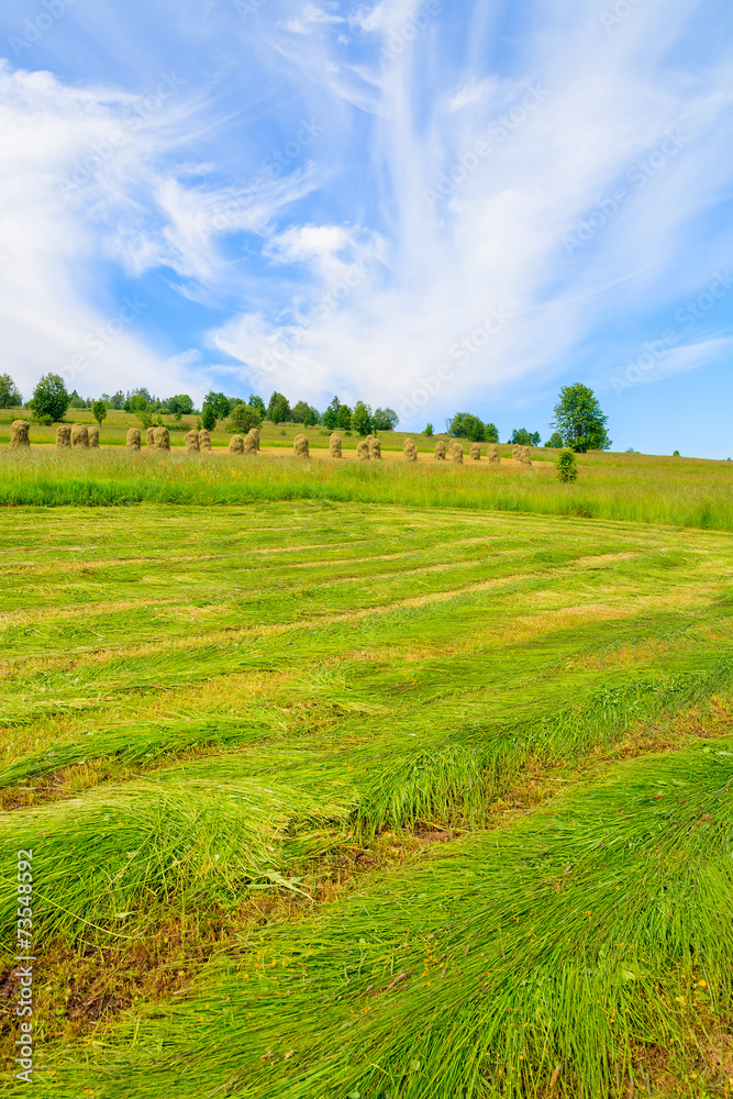 Hay on green meadow in summer landscape, Tatra Mountains, Poland