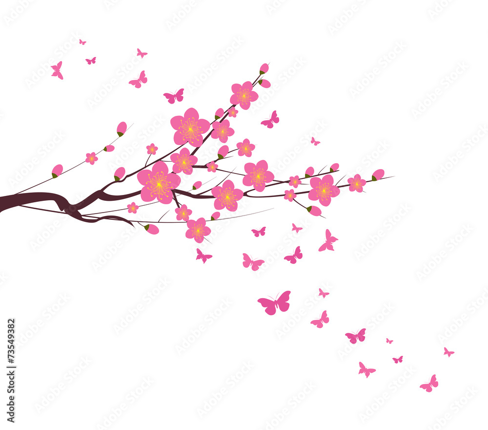 Cherry Blossom and butterfly chinese new year