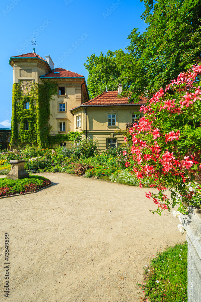 Flowers in gardens of Lancut castle on sunny summer day, Poland