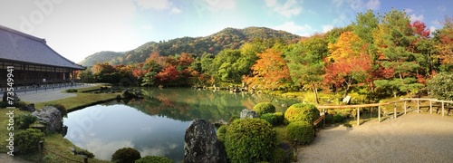 Beautiful Japanese garden in fall of Tenryu-ji Temple, Kyoto 紅葉初めの京都天龍寺