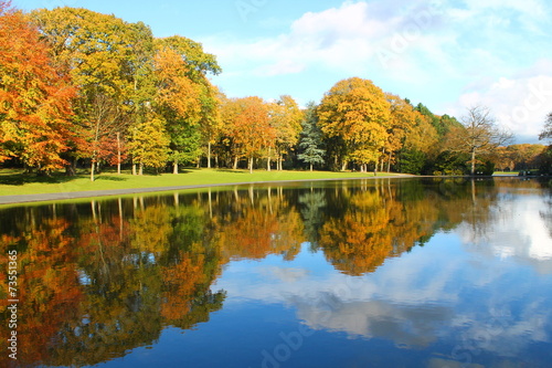 Foret de Montgeon au Havre  France