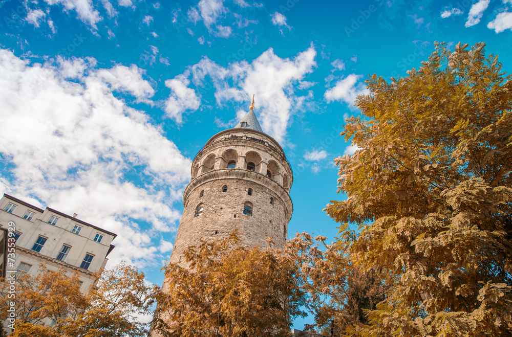 Obraz premium Magnificence of Galata Tower framed by trees - Istanbul, Turkey