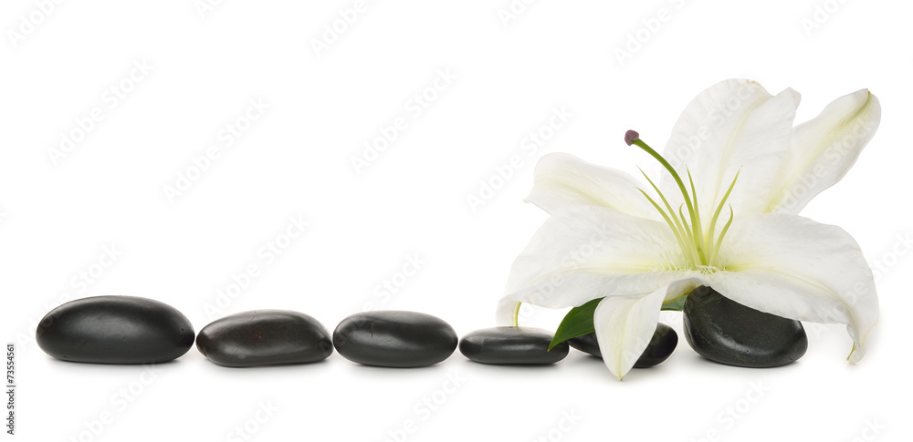 Naklejka Biała lilia i kamienie