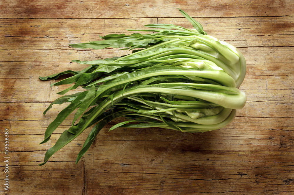 Puntarelle Xicoira espàrrec Cicoria asparago Expo 2015 Puntarelle Xicoira espàrrec Cicoria asparago Expo 2015